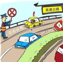 红河县吃瓜,瓜果飘香，品味民俗风情