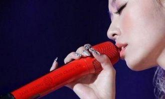 明星唱歌的话筒,明星演唱会话筒下的魅力瞬间