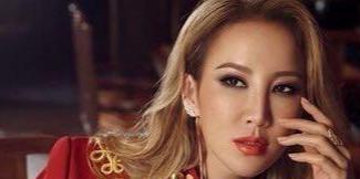 哪些明星进入美国籍,揭秘进入美国籍的明星阵容