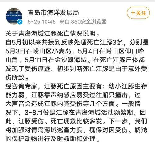 湖北王先生爆料新闻,揭秘某重大新闻事件内幕
