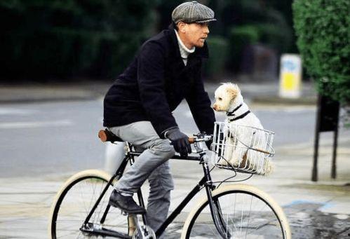 明星 单车,时尚潮流与环保生活的完美融合