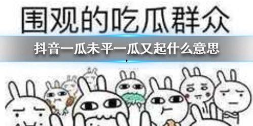 抖音吃瓜黄脸,揭秘网络红人的崛起之路