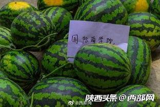 天下吃瓜网,揭秘娱乐圈幕后故事，带你领略明星真实生活