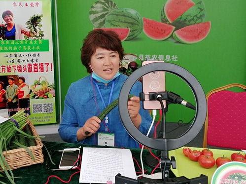 放下锄头吃瓜,共享丰收喜悦——瓜果飘香里的乡村生活变迁