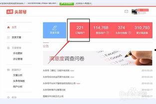 头条用户信息在哪里看到,揭秘头条用户背后的故事