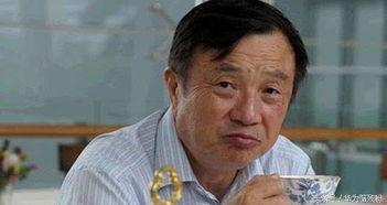 任正非 头条号文章