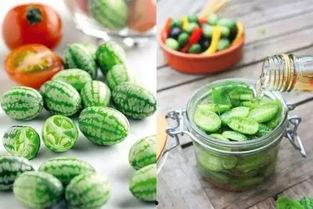 吃东营的大瓜,揭秘当地美食背后的故事与魅力