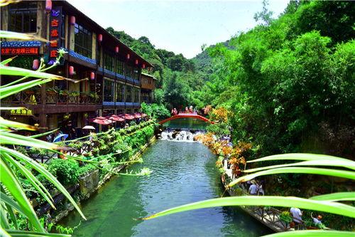 鲤鱼池网红景点图片,网红打卡地的魅力瞬间