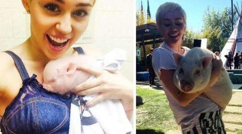 好莱坞明星集体唱的歌曲,好莱坞巨星同台献声，经典旋律再燃激情