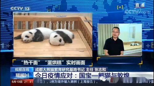 农村国宝爆料新闻视频,独家爆料新闻视频深度解析