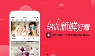 头条视频拍摄怎么配音乐,如何为头条视频增色添彩