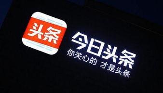 石家庄凤翔今日头条,今日头条聚焦最新动态，带你领略魅力风采