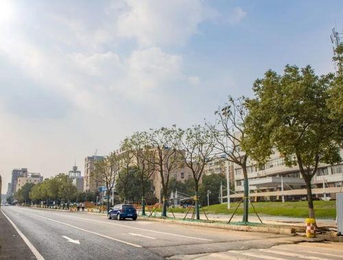 北高网红路,探寻城市新地标的风采之旅