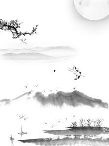 热点爆料中国画视频素材,传承与创新的艺术之旅