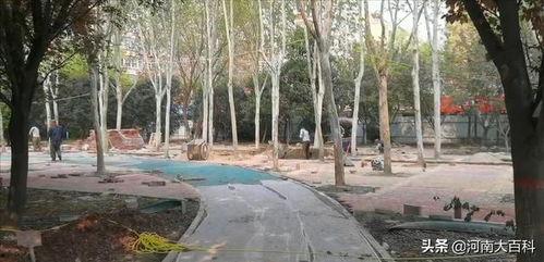 资溪网红打卡地方在哪里,揭秘热门景点魅力所在